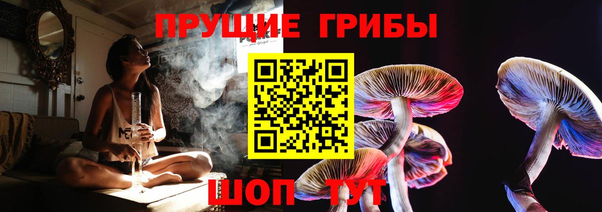 Мурманск  Галлюциногенные грибы Cubensis  Галлюциногенные грибы Psilocybine cubensis  Вход с VPN 